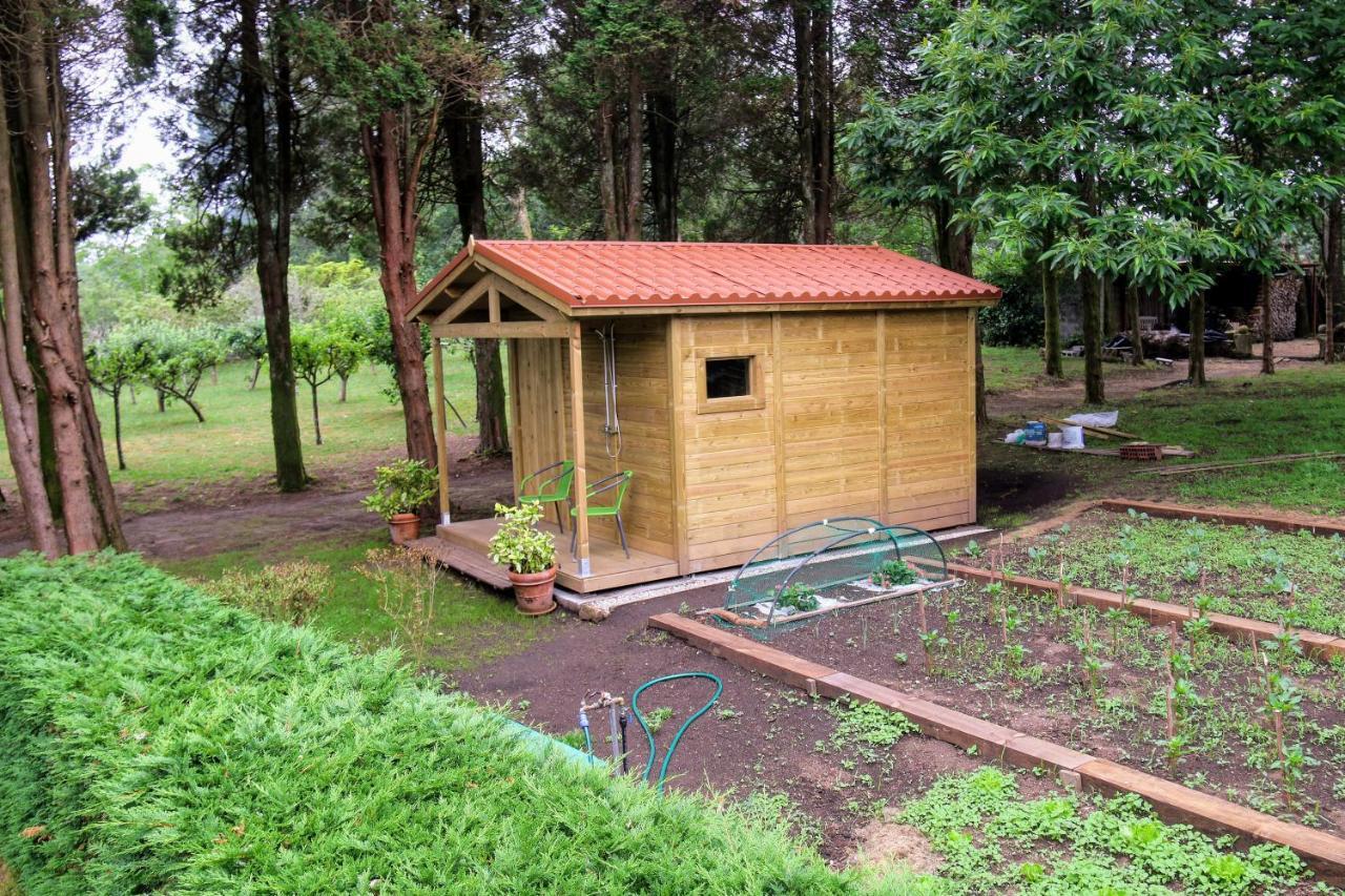 Вилла Pazo De Ceilan A Bana Экстерьер фото